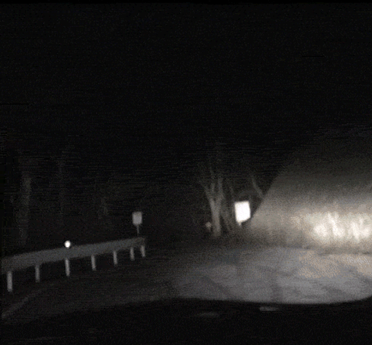 Scary Halloween Spooky Forest GIF
