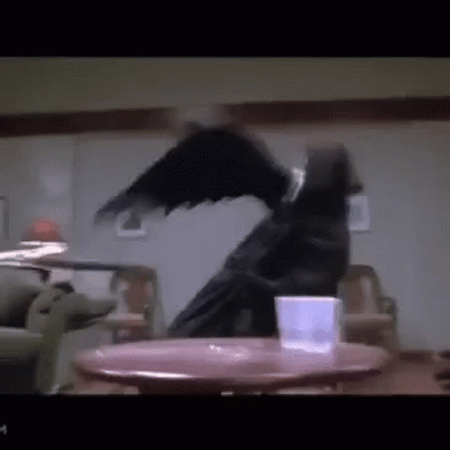 Scary Movie Grim Reaper GIF