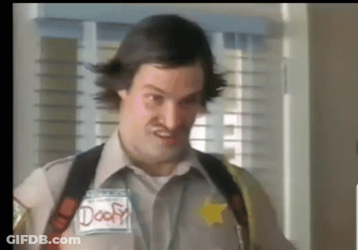 Scary Movie Officer Doofy Pointing At His Badge GIF