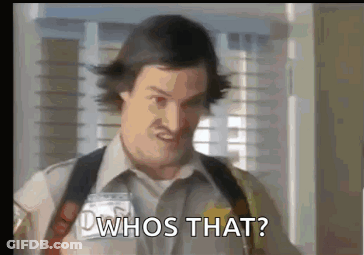 Scary Movie Officer Doofy Whos That GIF