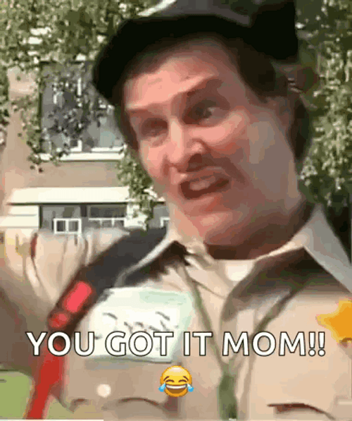 Scary Movie Officer Doofy You Got It Mom GIF