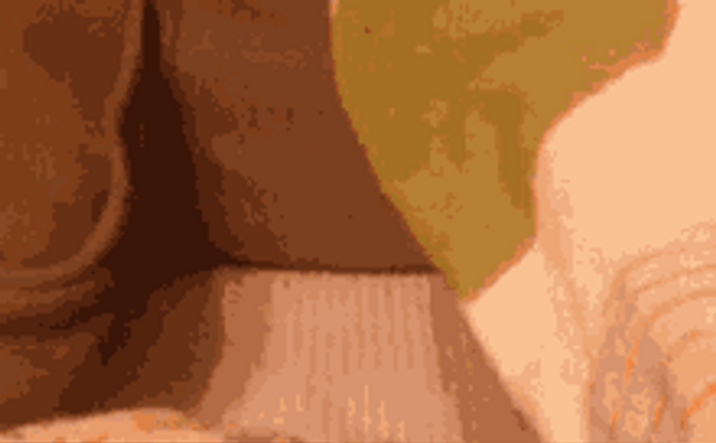 Scary Pop Up Surprise Cute Cat GIF