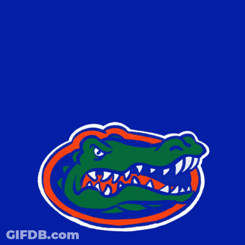 Scary Protective Gators GIF