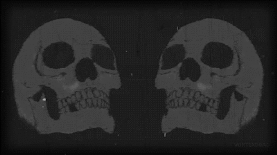 Scary Skull 80S Black & White GIF