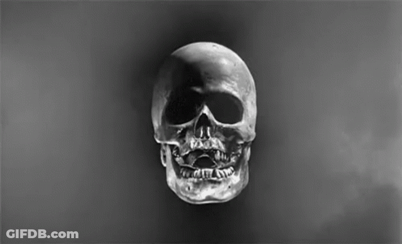 Scary Skull Creepy Blink GIF