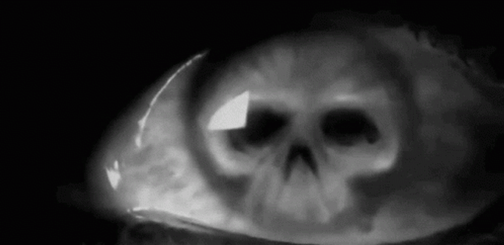 Scary Skull Eye GIF