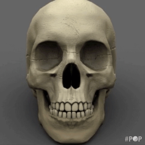 Scary Skull Staring Creepily GIF