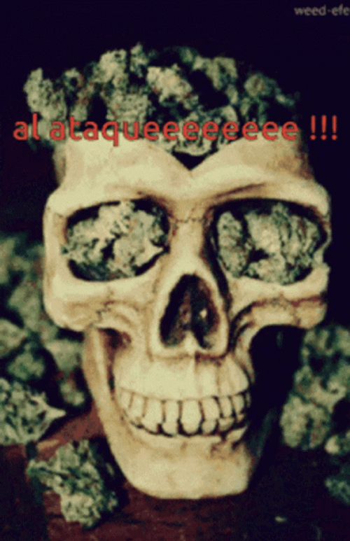 Scary Skull With Weird Weeds Glitching GIF