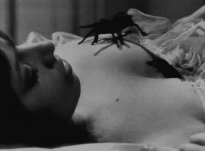 Scary Spider Crawling On Woman's Chest GIF