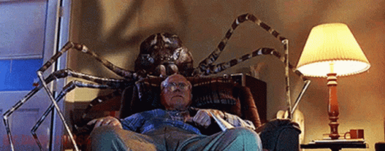 Scary Spider In Old Man's Dream GIF