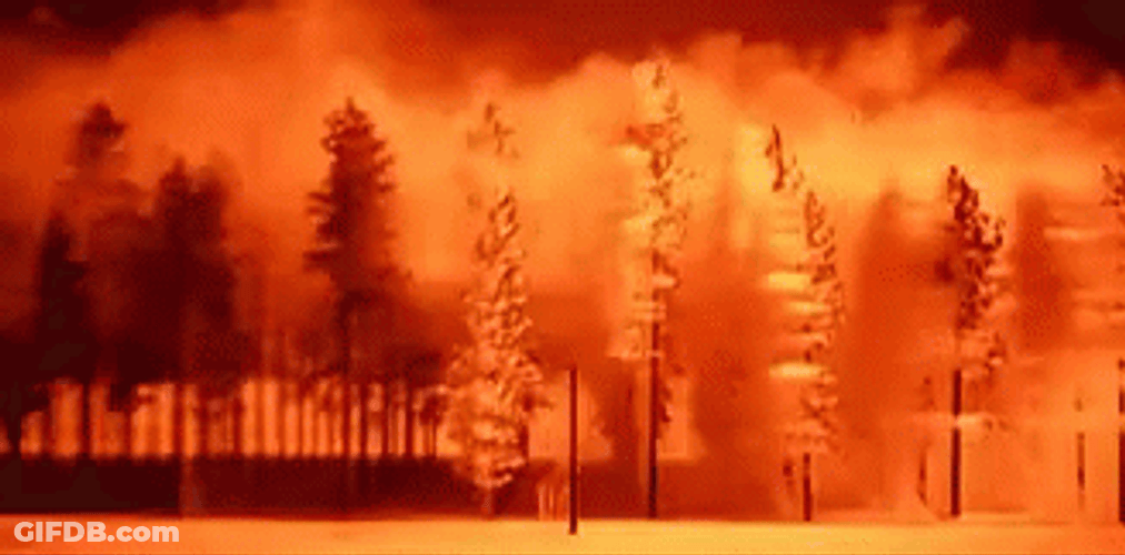 Scary Wildfire Blast Swaying Trees GIF