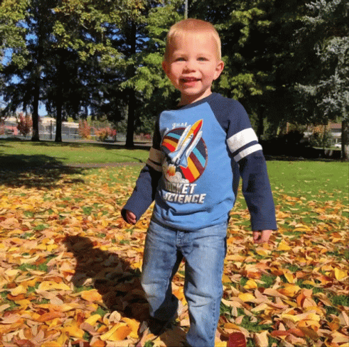 Scattered Falling Leaves GIF