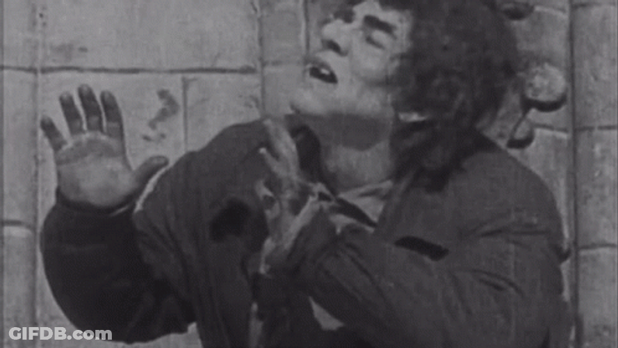 Scene From The Hunchback Of Notre Dame GIF