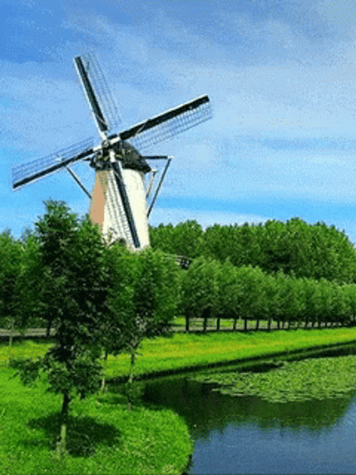 Scenic Windmill Trees GIF