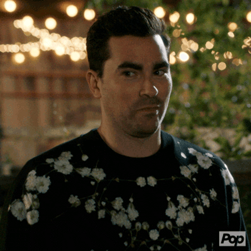 Schitt's Creek Dan Levy I Knew It GIF