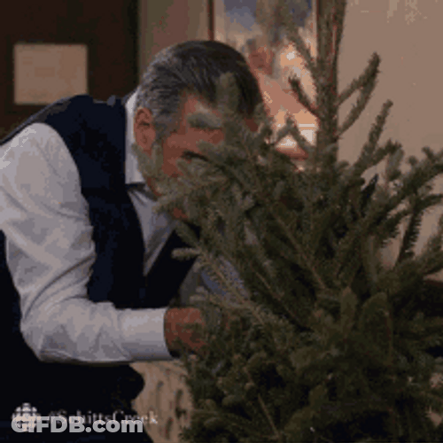 Schitt's Creek Sitcom Johnny Rose Cutting Tree GIF