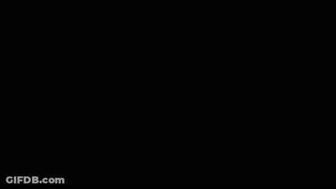 Schlapeirytockrond - Presente (0.75X) GIF