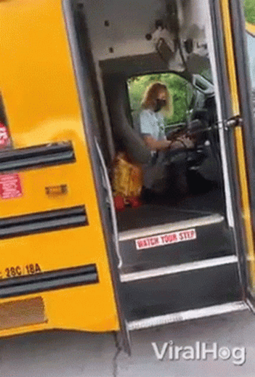 School Bus Dog Classmate GIF