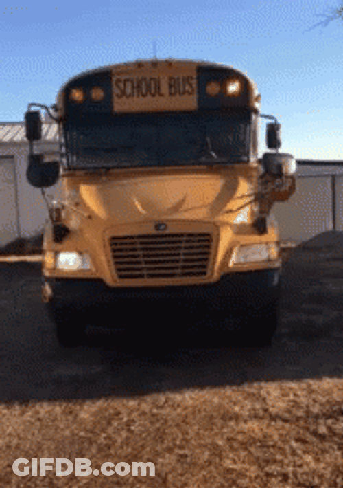 School Struggle Bus GIF