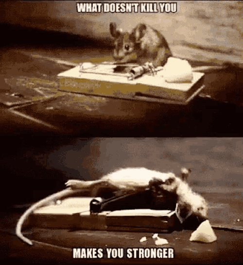 School What Doesnt Kill You Makes You Stronger Mouse GIF