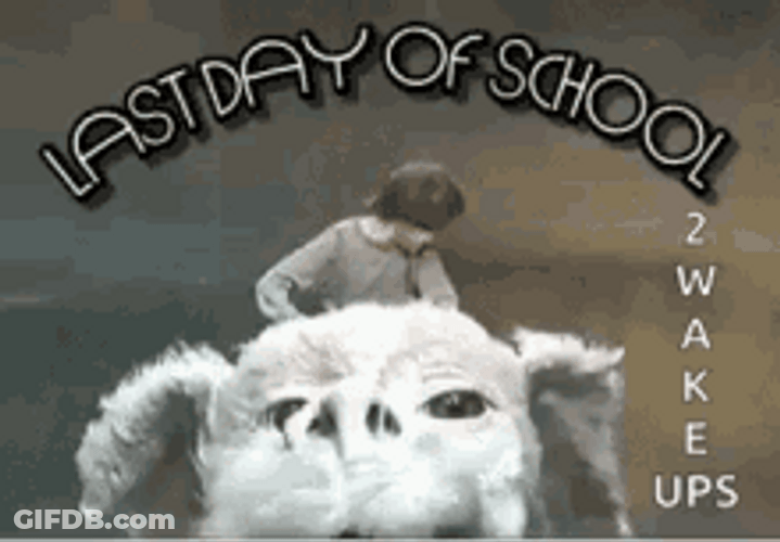 Schools Out For Summer To Wake Ups Yeah GIF