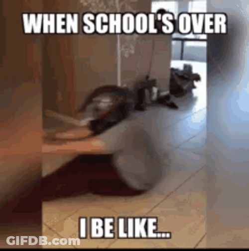 Schools Out For Summer When School Is Over GIF