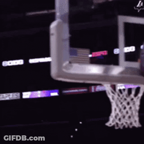 Schroder Lakers GIF