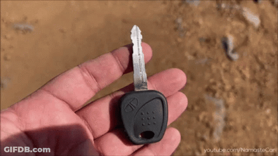 Schwing GIF