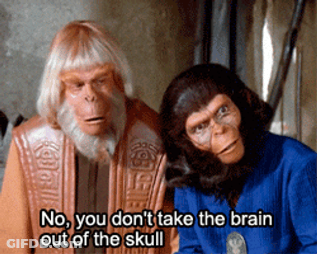 Sci Fi Talking Monkeys With Human Hair GIF