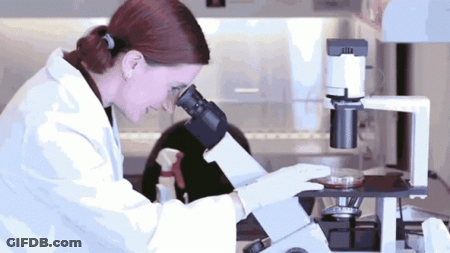 Scientist Woman Research Using Microscope GIF