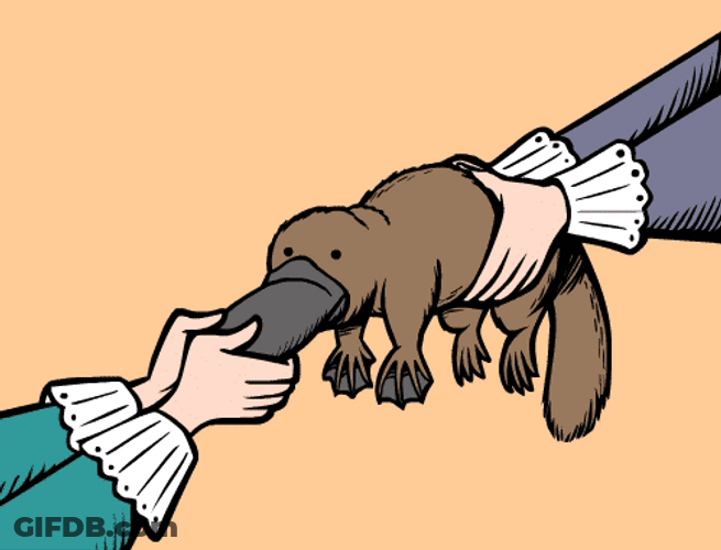 Scientists Removing Platypus Bill GIF
