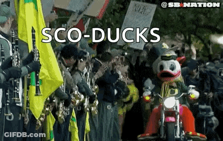 Sco-Ducks Mascot Riding Motorcycle GIF
