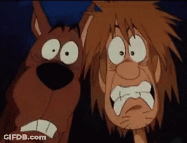 Scooby And Shaggy Fear Reaction GIF