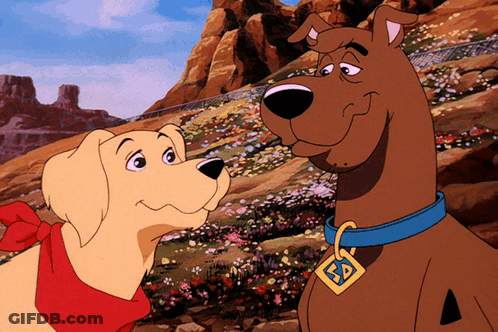 Scooby Doo And A Dog Are Standing Next To Each Other In A Field GIF