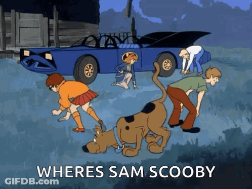 Scooby Doo And Friends Looking For Sam Scooby GIF
