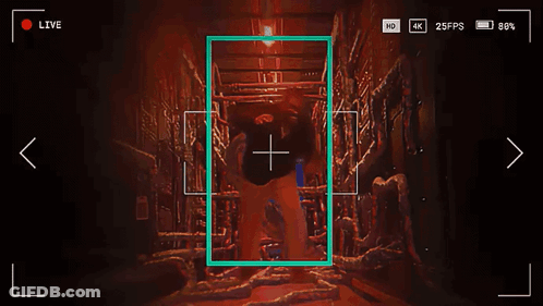 Scooby Doo And Ghost Tied Up GIF