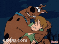 Scooby Doo And Shaggy GIF