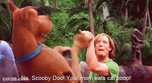 Scooby Doo And Shaggy From The Movie Scooby Doo Are Fighting GIF