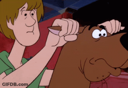 Scooby Doo And Shaggy From The Scooby Doo Cartoon GIF