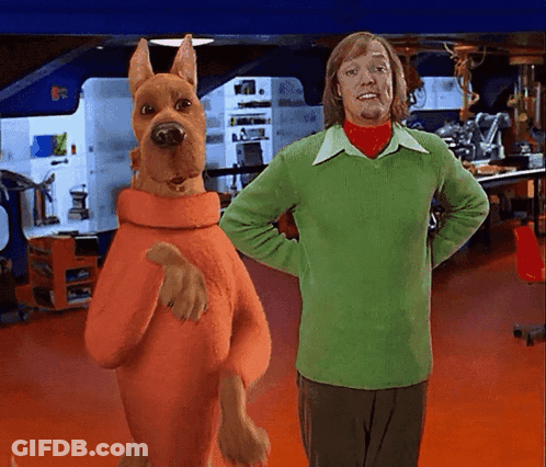 Scooby Doo And Shaggy Hands On Hips GIF