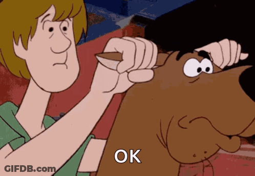 Scooby Doo And Shaggy Holding Knife Saying Ok GIF