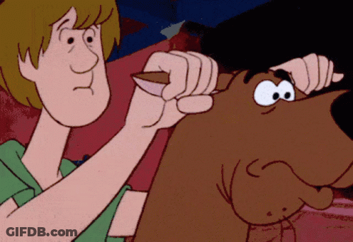 Scooby Doo And Shaggy Playing With Stick GIF