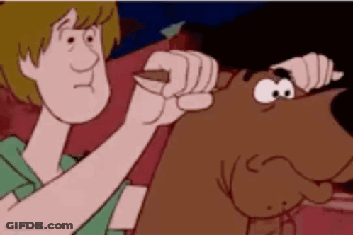 Scooby Doo And Shaggy Sitting On Couch GIF
