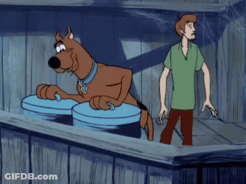 Scooby Doo And Shaggy Standing GIF