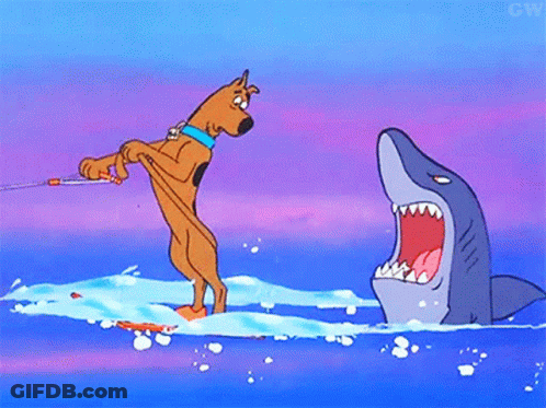 Scooby Doo Being Towed By Shark In Water GIF
