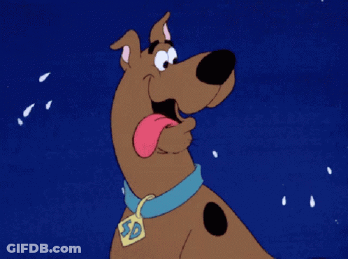 Scooby Doo Dog With SD Tag GIF