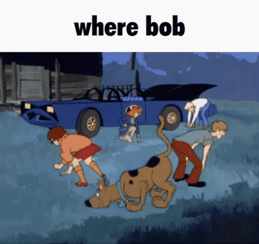 Scooby Doo Gang Looking For Bob GIF