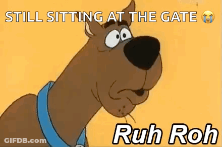 Scooby Doo Is Sitting At The Gate In A Cartoon . GIF