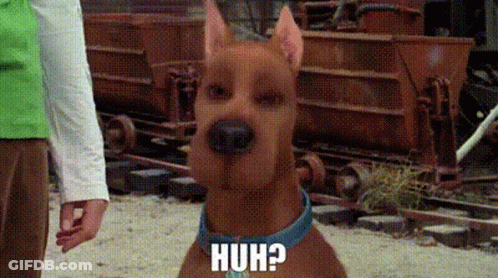 Scooby Doo Is Wearing A Blue Collar And Standing Next To A Man . GIF