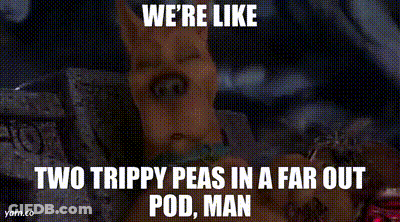 Scooby Doo Meme We're Like Two Trippy Peas In A Far Out Pod Man GIF